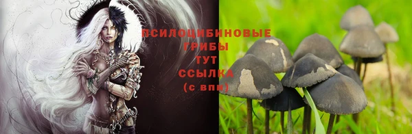 марки nbome Богданович