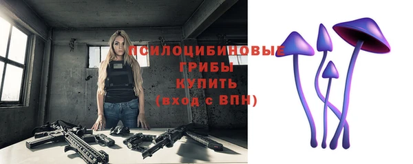 марки nbome Богданович