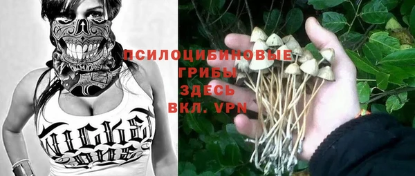 марки nbome Богданович